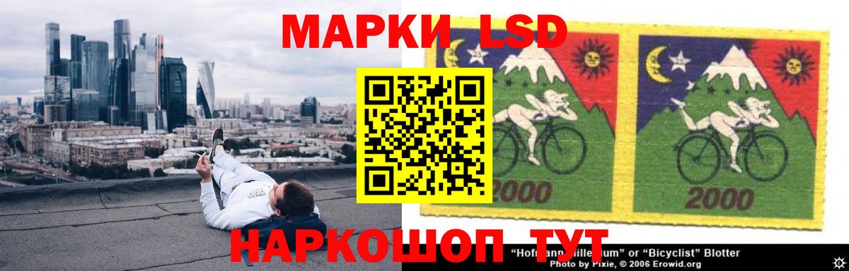 APVP Архангельск