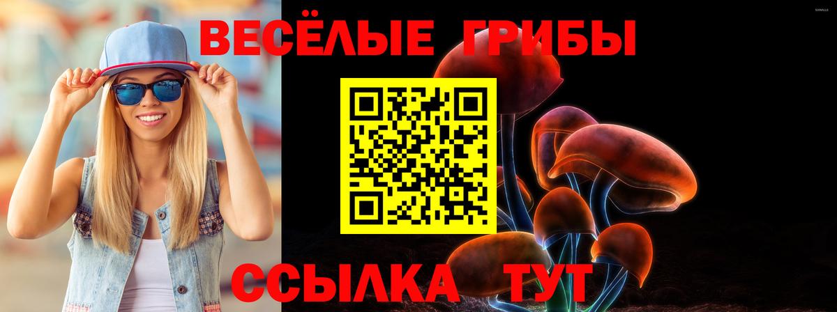 Галлюциногенные грибы Psilocybe  Вход с VPN  Архангельск 